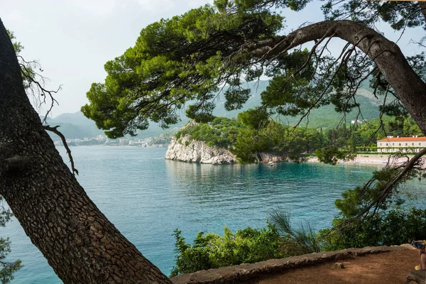 Пейзаж Парку Мілочер Видом Пляж Короля Светі Стефан Чорногорія — стокове фото