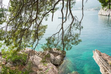 Karadağ 'ın Sveti Stefan kentindeki King' s Beach manzaralı Milocher parkındaki manzara