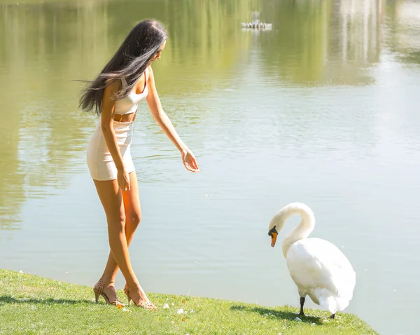 Belle fille avec un cygne sur un lac — Photo