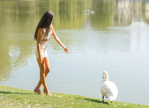 Hermosa chica con un cisne en un lago —  Fotos de Stock