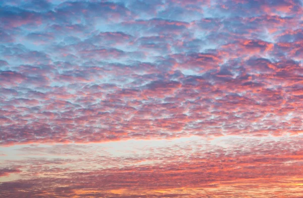 Gün batımı. Çok renkli bulutlar.