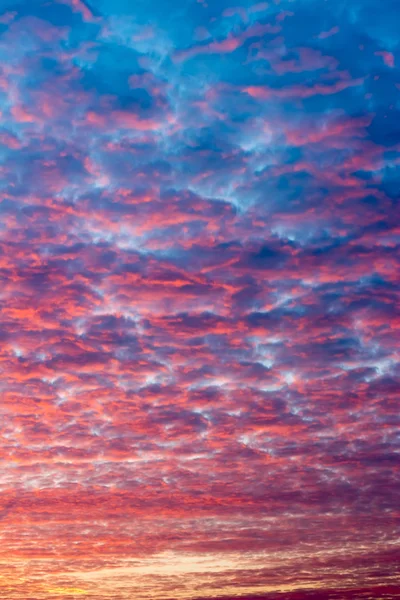Sunset. Multicolored clouds. — Stock Photo, Image