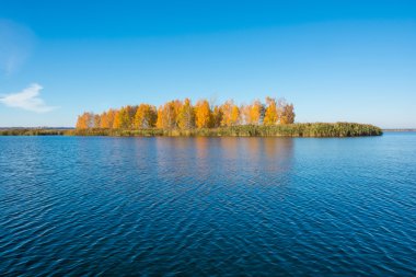 Adacık nehrin ortasında sonbahar ağaç ile.