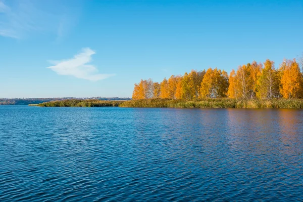 Holme med höstträd mitt i floden. — Stockfoto