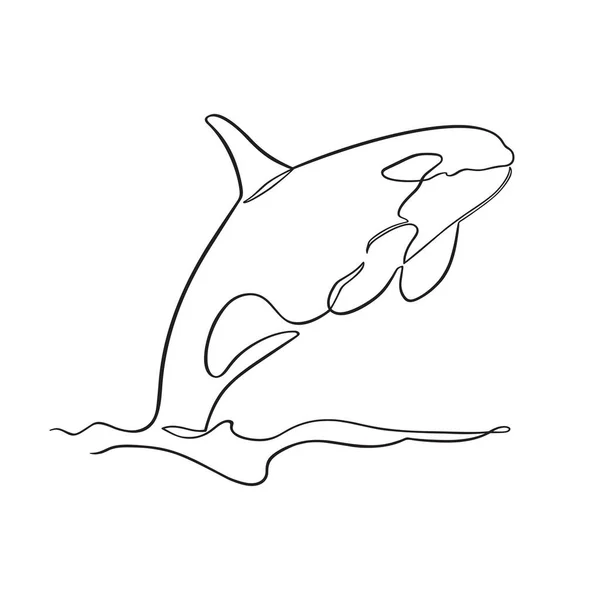 Breaching Orca Drawn One Continuous Line — Stock Vector