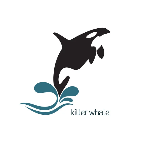 Killer whale jumping — Stock Vector