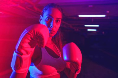 Güzel kadın boksör eğitimi, kırmızı boks eldivenleri, kırmızı ve mavi ışıklı ring, endüstriyel spor salonu, neon ışıklar. seçici odak