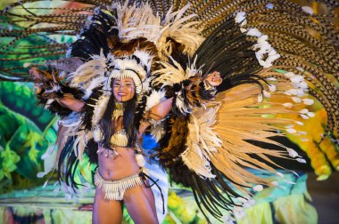 Brezilya karnaval kadın dansçı