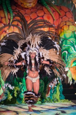 Güzel karnaval kadın