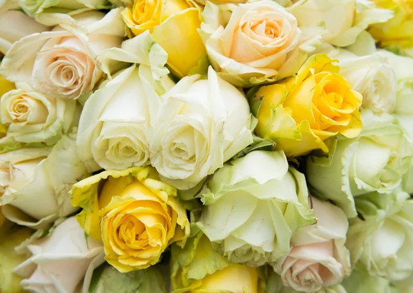Rose naturali bouquet sfondo — Foto Stock