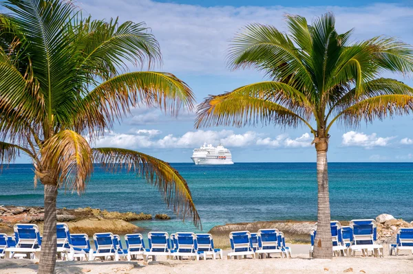 green palm trees on sandy beach coastline near ocean