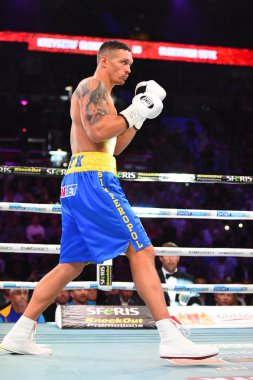 WBO Inter-Continental Cruserweight şampiyonu başlık için mücadele