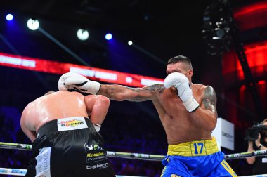 Wbo Cruserweight Dünya şampiyonu ünvanını için mücadele