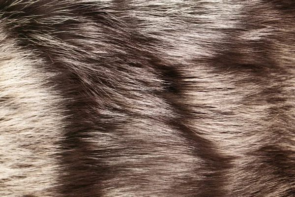 Natural fur for texture background. Luxury and elegant fluffy clothes — Stock Photo, Image