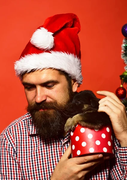 Xmas holiday concept. Man in xmas hat cuddles with puppy.