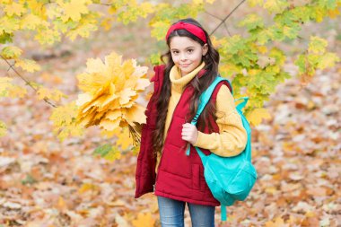 Mutlu çocuk sarı akçaağaç yaprakları topluyor. Genç kız okula giderken sırt çantası taşıyor. Çocuk sonbahar ormanlarında ya da parkta yürüyor. Mevsimsel sonbahar havası. çocukluk mutluluğu. Güzellik ve doğa