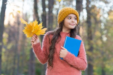 Küçük mutlu çocuk okul kitabını tutuyor sonbahar parkında yaprakları topluyor, eğitim görüyor.