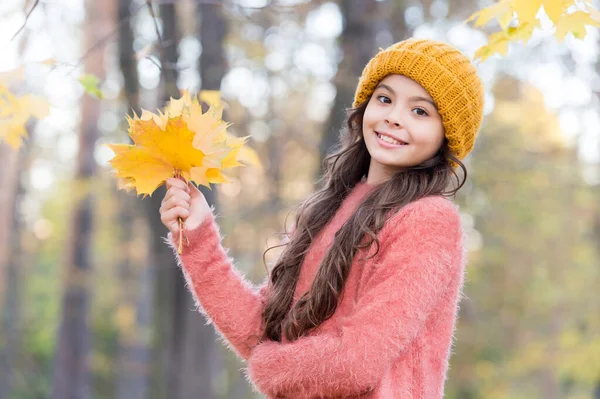 Time to rest. warm clothes fashion. seasonal weather. childhood happiness. beauty of fall nature. happy kid wear sweater and hat. teen girl gathering fallen leaves. child walk in autumn forest — Stock Photo, Image