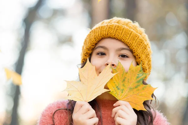 Szezonális időjárás. Gyerekkori boldogság. az őszi természet szépsége. Boldog gyerek pulóvert és kalapot visel. Tini lány gyűjtése lehullott levelek. gyermek séta őszi erdőben. Meleg ruha divat. Tele életenergiával. — Stock Fotó