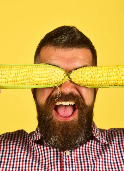 Granjero con cara alegre sostiene maíz amarillo cubriendo sus ojos —  Fotos de Stock