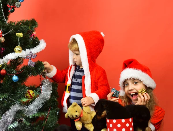Sorella e fratello fratelli decorano l'albero di Natale — Foto Stock