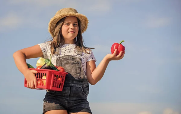 Comida en contenedores. comida saludable para los niños. niño en la granja de verano. Comida ecológica. Verdura de niña en cesta. Es natural. cosecha de vitamina. jardín del mercado de primavera. pequeño granjero. cosecha de otoño —  Fotos de Stock