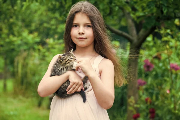 사랑 스러운 고양이. 작은 소녀는 귀여운 고양이를 손에 안고 있다. 아이가 애완 동물을 좋아하거든요. 인간과 동물. 사랑과 보살핌. 귀여운 아이의 손에 솜털 고양이가 있습니다. 애완 동물과 함께 야외의 작은 아름다움. 행복 한 어린 시절. 애완 동물 애호가 — 스톡 사진