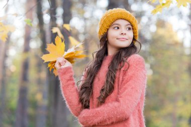 Ormanda günün tadını çıkar. Akçaağaç yapraklarını düzenleyen çocuk. Sonbahar örgü moda. İlham için romantik bir sezon. Mutlu çocukluk. Genç kız parkta dinleniyor. Sonbahar güzeli. Doğayla aşk paylaşımı