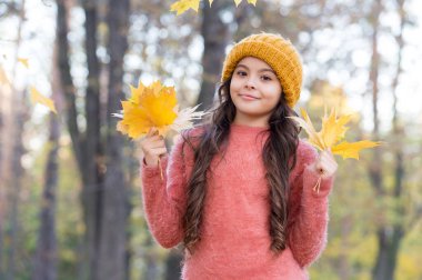 Huzurlu bir sabah. İlham için romantik bir sezon. Mutlu çocukluk. Genç kız parkta dinleniyor. Sonbahar güzeli. Ormanda günün tadını çıkar. Sarı akçaağaç yapraklarını düzenleyen çocuk. Sonbahar örgü modası