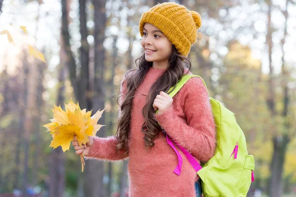 Sentire la natura. autunno maglia moda. Torniamo a scuola. stagione per ispirazione. infanzia felice. ragazza rilassarsi nel parco. stagione autunno bellezza. godersi la giornata nella foresta. bambino che organizza foglie di acero giallo — Foto Stock