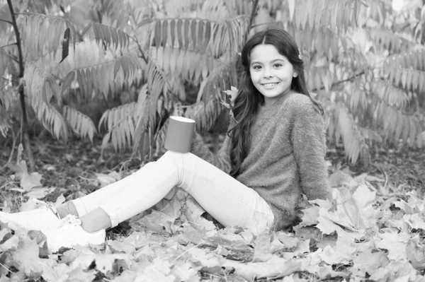 Bebida quente. Saúde. A criança pequena gosta da bebida quente de outono. Criança relaxe na árvore de outono. Menina criança feliz com caneca no outono parque colorido folhagem fundo. Ideias acolhedoras para piquenique de outono — Fotografia de Stock