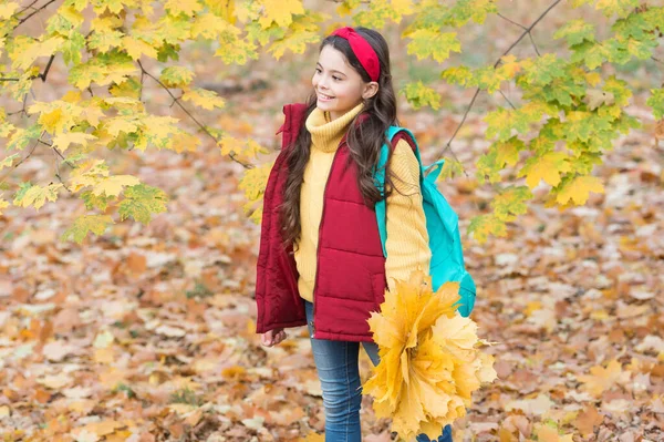 Őszi gyerek divat. Az inspiráció romantikus évszaka. Boldog gyermekkort. Vissza az iskolába. tini lány hátizsákkal tartsa juharfa levelek a parkban. őszi szépség. Élvezd a napot az erdőben. Kövessetek! — Stock Fotó