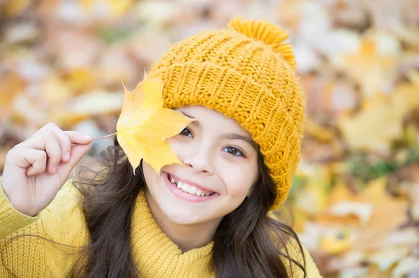 Autunno maglia moda. stagione romantica per ispirazione. infanzia felice. adolescente rilassarsi nel parco. stagione autunno bellezza. godersi la giornata nella foresta. bambino che organizza foglie di acero giallo. Moda autunno — Foto Stock