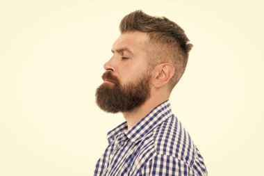 Karizmatik erkek ciddi görünüyor. Berberden bıyık. Sakallı, olgun bir hippi. Bıyık profilli modacı hipster. Bıyıklı ve sakallı erkek. Kuaför salonundan sonra. Berber dükkanı müdürü.