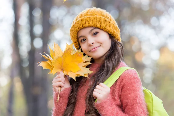Autunno bambino in elegante cappello a maglia e maglione caldo godersi la giornata nella foresta con foglie di acero giallo come simbolo della stagione autunnale, torna a scuola — Foto Stock