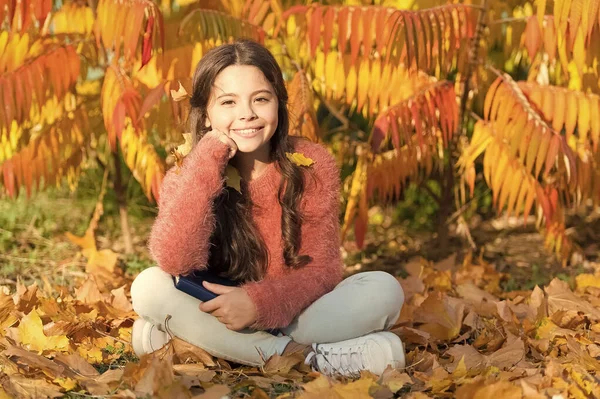 Conoscenza per la prima età. La piccola ragazza carina con libro si siede su foglie di autunno. Adorabile bambino ottenere la conoscenza dal libro. Giorno della conoscenza o 1 settembre. Istruzione e conoscenza — Foto Stock