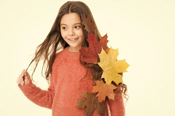 Cozy days. Childhood happiness. Fall season. Kid with fallen leaves white background. Happy small girl maple leaves. Girl child cozy sweater. Hygge concept. Autumn pleasures. Feeling cozy this days