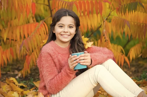 Ideias acolhedoras para piquenique de outono. Menina criança feliz com caneca no outono parque colorido folhagem fundo. Bebida quente. Saúde. A criança pequena gosta da bebida quente de outono. Criança relaxe na árvore de outono — Fotografia de Stock