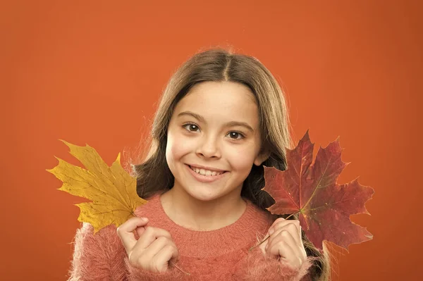 有机化妆品和护肤。秋天快乐。小孩子抱着枫叶的颜色在变.庆祝秋天。自然美。小女孩笑着与秋天的叶子。多么神奇的秋天啊 — 图库照片
