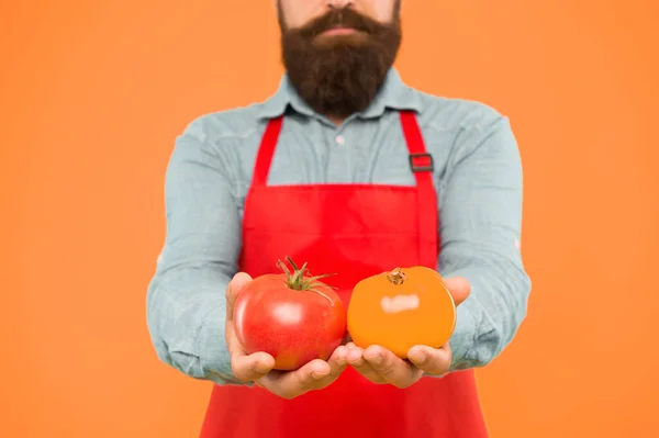 Cultivos orgánicos. Dieta de tomate. Chef cocinar con verduras de tomate. El hombre barbudo cocinero sostiene el tomate en las manos. Salsa de tomate o ketchup. Cocina mediterránea. Cocinar y comer de forma saludable. Concepto de mercado agrícola —  Fotos de Stock