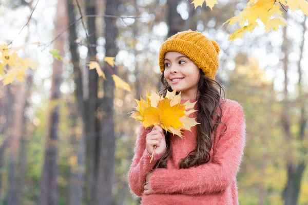 Ősz meleg ruhák divat a gyerek visel kötött kalap és pulóver séta közben őszi parkban, vagy elesett juharfalevél, gyermekkor — Stock Fotó