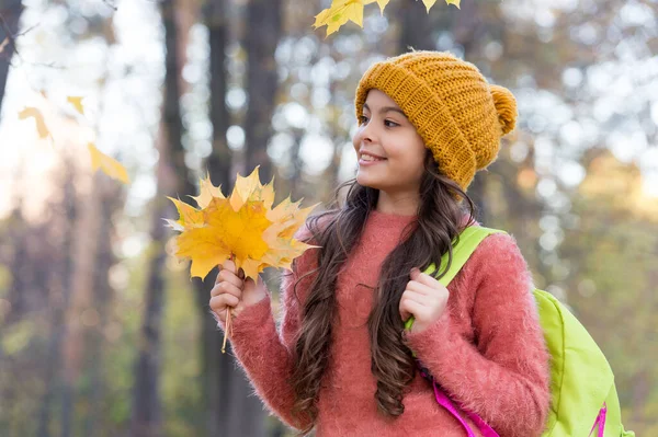 Olyan gyönyörű. az őszi természet szépsége. Boldog gyerek kötött pulóvert és kalapot visel. Tini lány gyűjtése lehullott levelek. gyermek séta őszi erdőben. Vissza az iskolába. meleg szezonális időjárás. gyermekkori boldogság — Stock Fotó