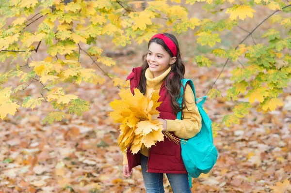Bambino felice in stile casual trascorrere del tempo raccogliendo foglie d'acero cadute nel parco autunnale godendo del bel tempo portare lo zaino, il tempo libero — Foto Stock