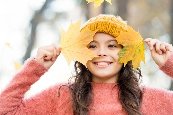 Beautiful girl with long hair hold yellow fallen maple leaves wearing knitted hat and warm sweater in autumn forest, having fun — Stock Photo, Image