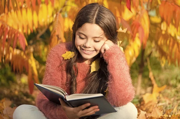 취미는 독서. 가을에 작은 아이들에게 책을 읽어 주 세요. 사랑 스러운 어린 소녀는 영어 출판물을 좋아 합니다. 어린 시절 문학 작품. 문학 교육. 서적 속의 어린 시절 — 스톡 사진