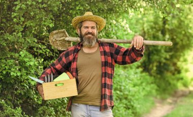 Digging spring soil with a shovel. man gardening in greenhouse. Male gardener use shovel at spring garden background. man gardening in his garden. I work in the spring garden. rich soil clipart