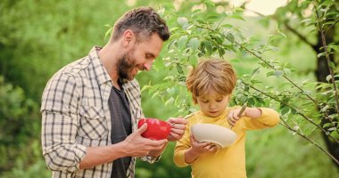 Oğul ve baba sütlü yulaf lapası yiyor. çocukluk mutluluğu. Bebek maması. Sağlıklı yemek ve diyet. Süt ürünleri. Babalar günün kutlu olsun. Babasıyla küçük çocuk kahvaltı yapıyor. Mutlu bir aile. Sağlıklı bir hayat
