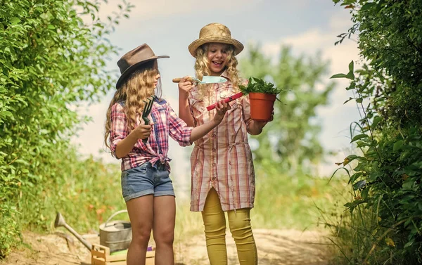 Eco farming concept. Girls with gardening tools. Sisters helping at farm. On way to family farm. Agriculture concept. Adorable girls in hats going planting plants. Kids siblings having fun at farm — Stock Photo, Image