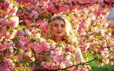 Bahar koleksiyonu. Saf güzellik dişisi. Tasasız ve mutlu bir kadın. Seksi kız sakura çiçeğinin tadını çıkarıyor. Bahar çiçeği açan ağaç. Pembe kiraz ağacı çiçekleri. Çiçek aroması tedavisi. Eski ve eski moda.