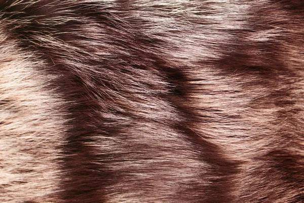 Dyed furry coat in brown or red color, close up. — Stock Photo, Image